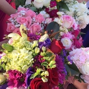 Meet your Posher, Emilia